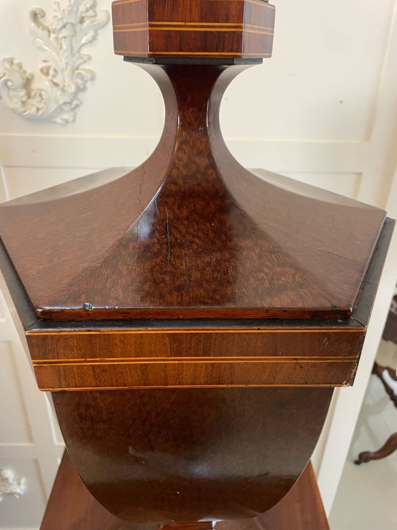 Rare Pair of Antique George III Outstanding Quality Mahogany Inlaid Wine Urns on Original Pedestal Cupboards - Image 7